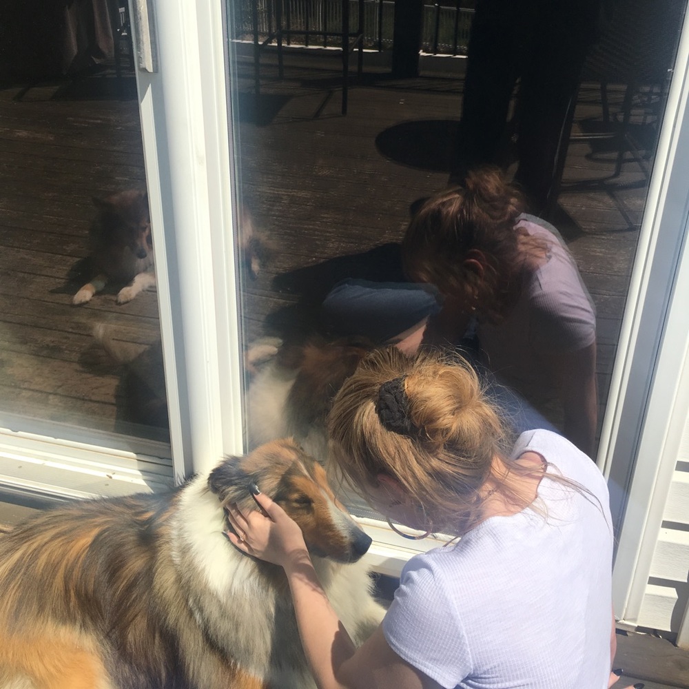 Meet your Posher, Paige